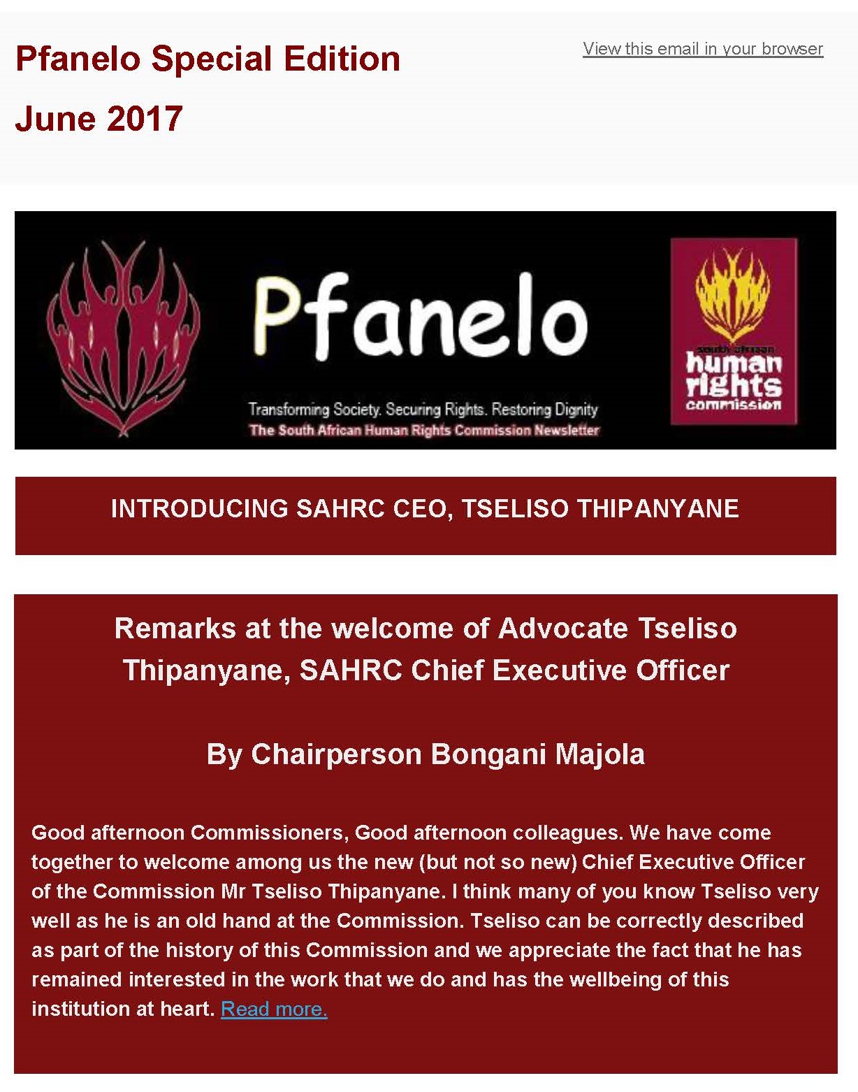 Pfanelo Newsletter Editions